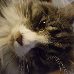 Meet your Posher, Wendy